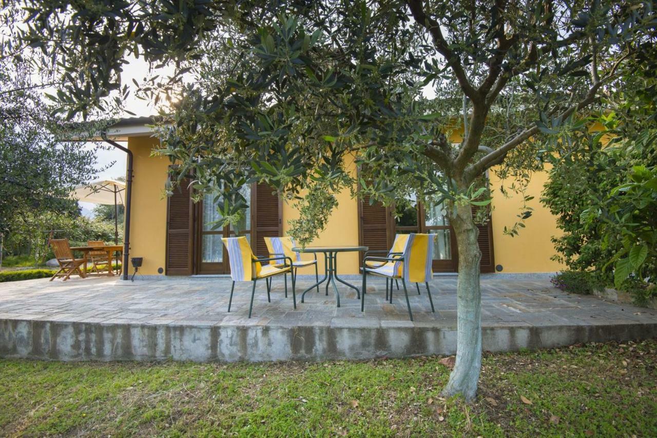 Agrialpi By Salfrutta Bed and Breakfast Bricherasio Eksteriør billede